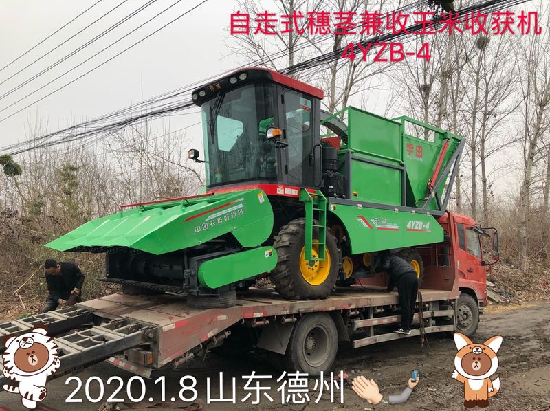 发往山东德州的自走式穗茎(jing)兼收玉米收获机