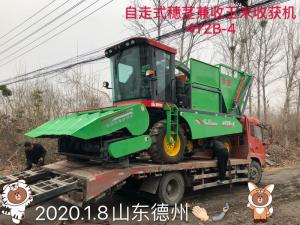 山(shan)东德州(zhou)订购自走式穗茎兼收玉米收获机
